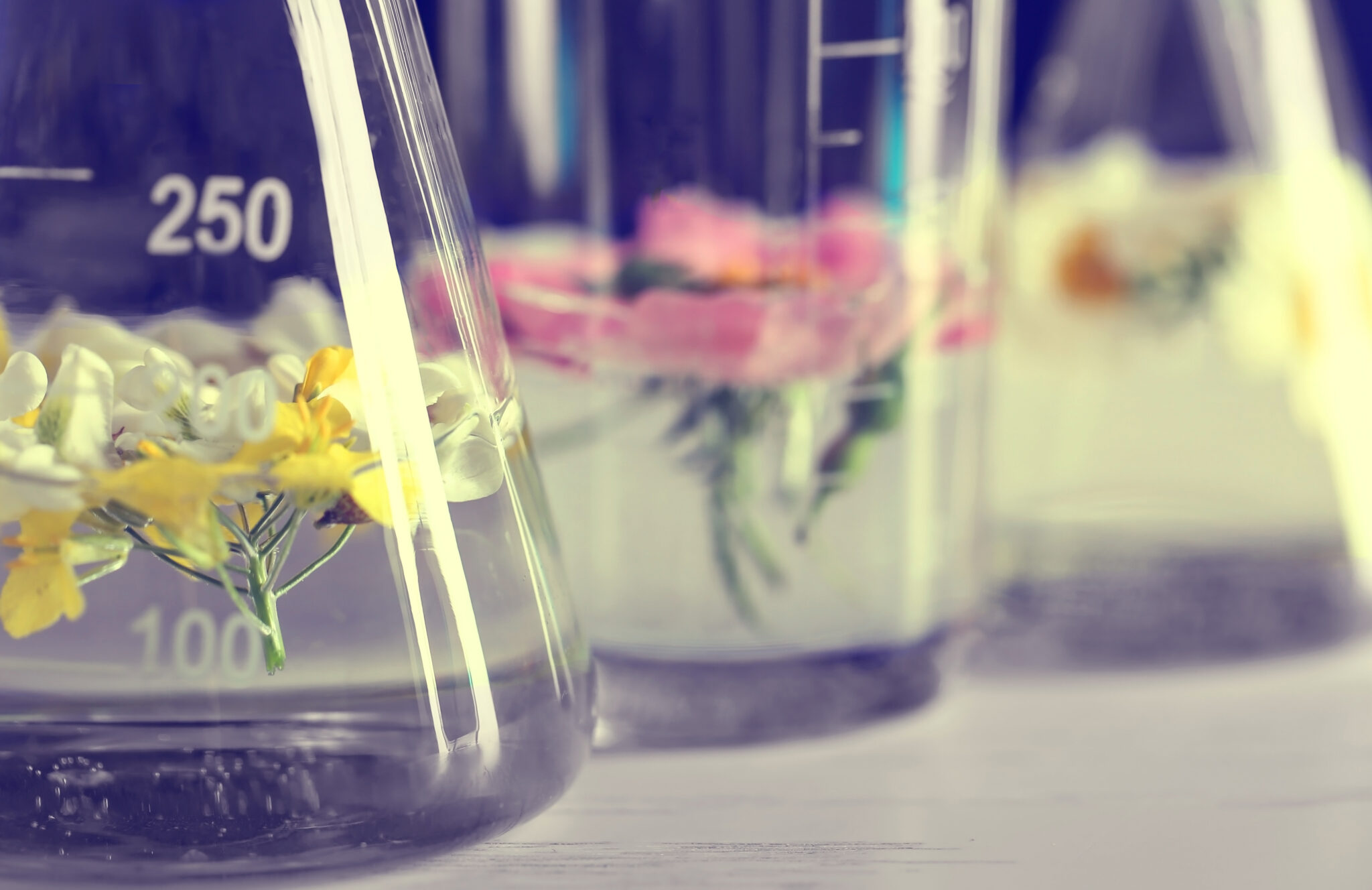 Wasser in Öl Emulsion | Anwendung in Kosmetikprodukten